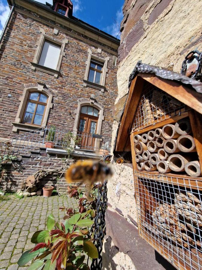 Winzervilla Ediger-Eller Ngoại thất bức ảnh